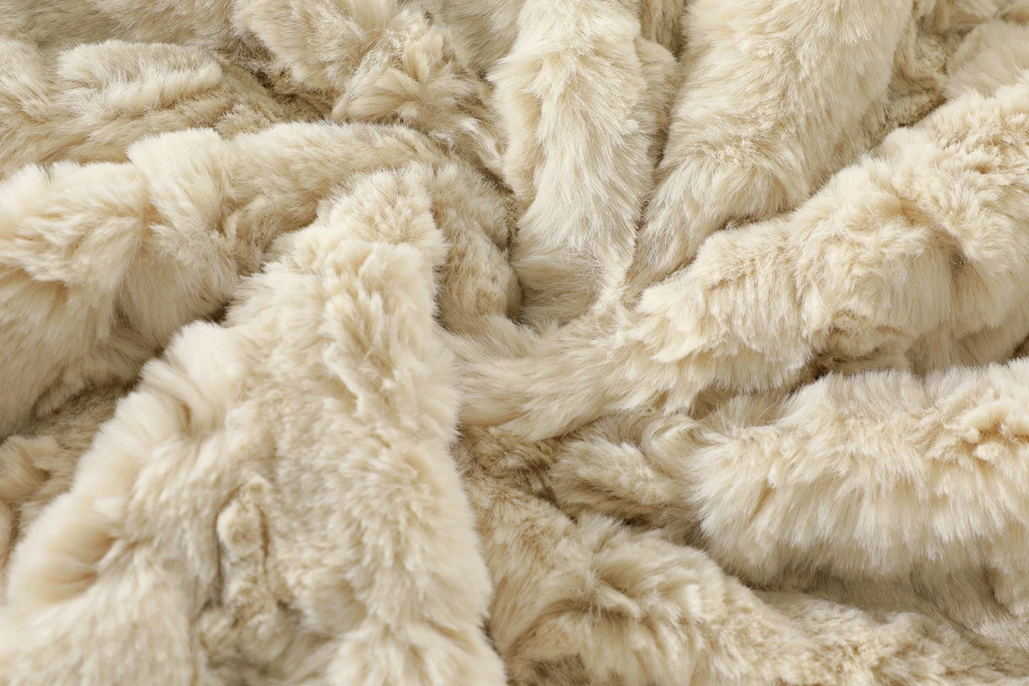 Winter Korean Lamb Wool Jacket