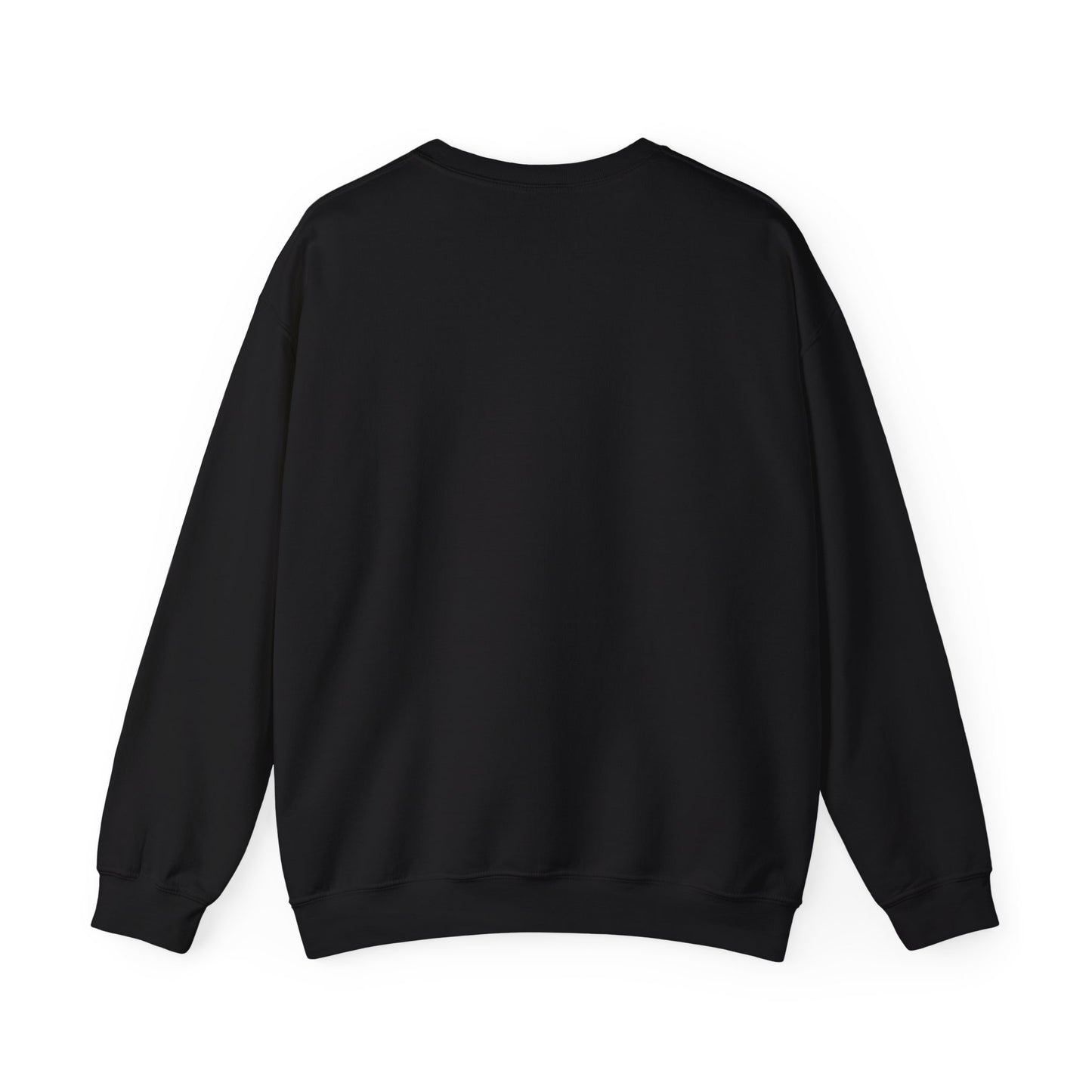 women casual crewneck sweatshirt with graphic design for everyday