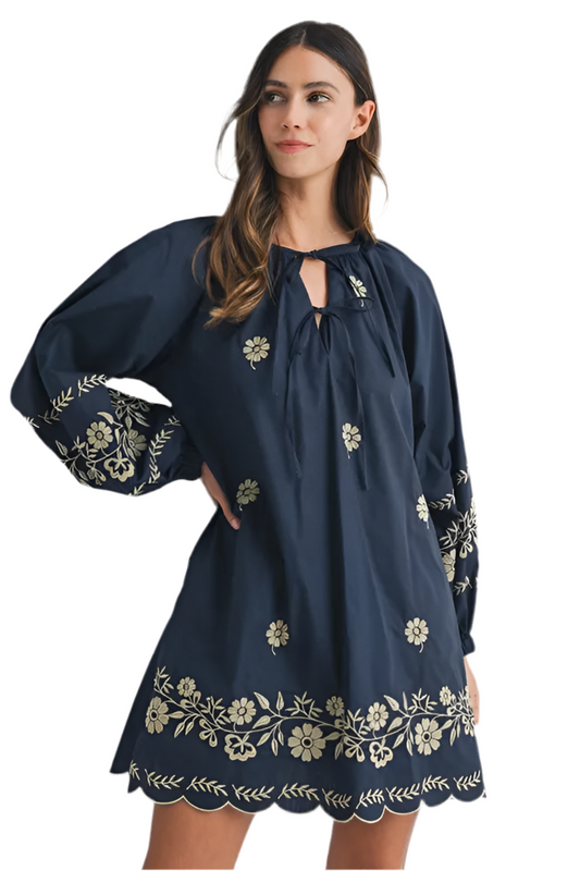 Embroidered Long Sleeve Mini Dress